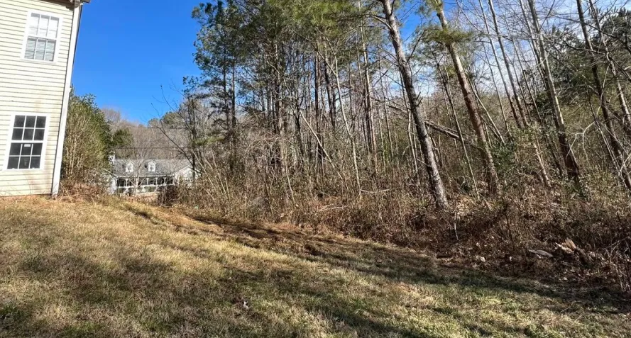 overgrown bushy property cartersville ga