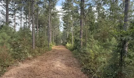 trail access clearing cartersville ga