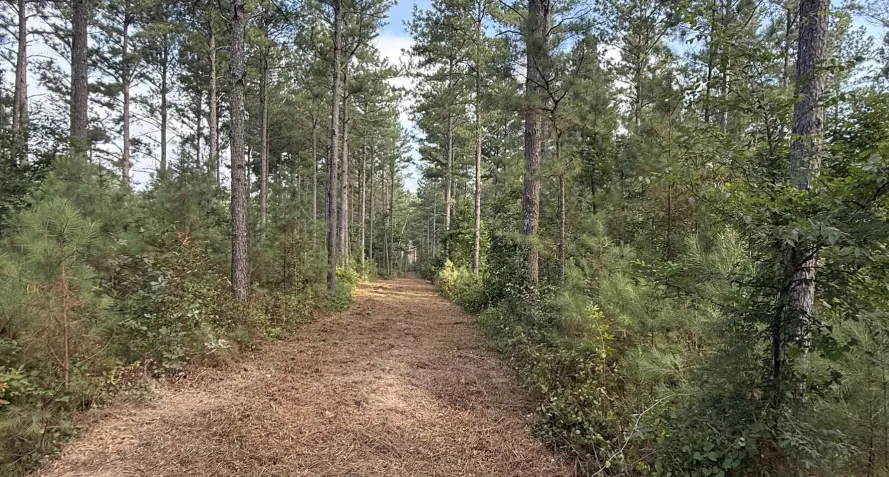 trail access clearing cartersville ga trail access clearing cartersville ga